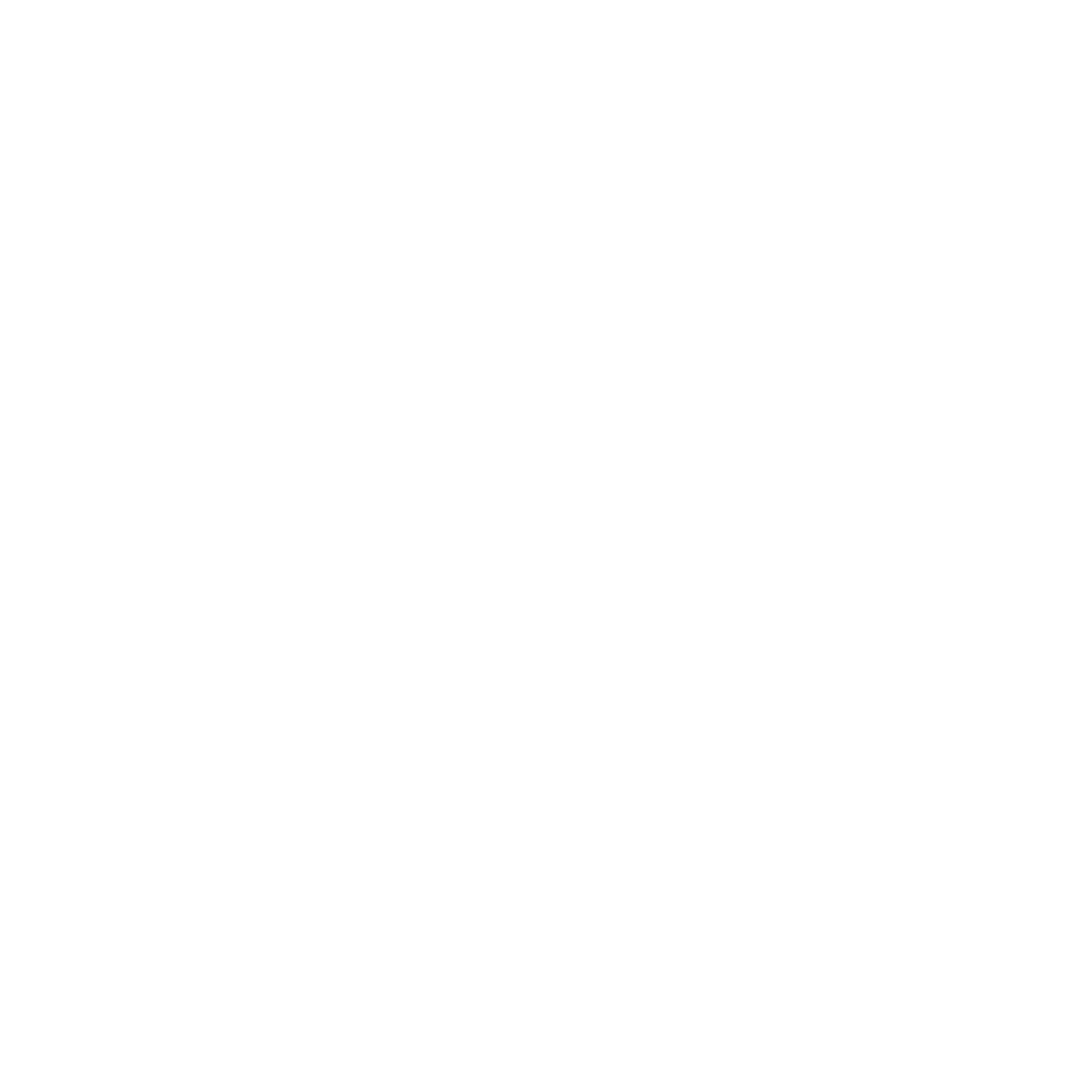 Fundacja OPFOR logo