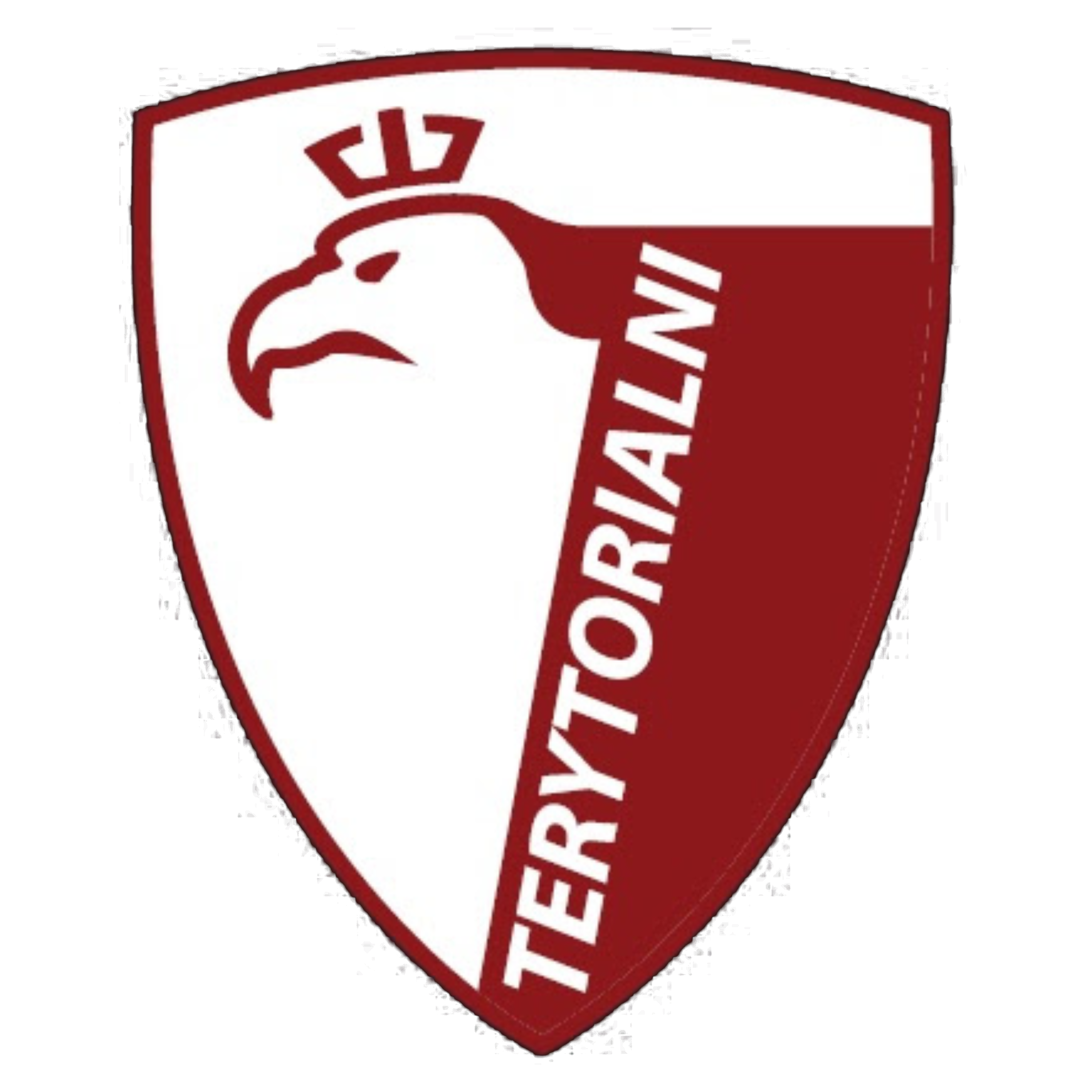 Stowarzyszenie Terytorialni Logo