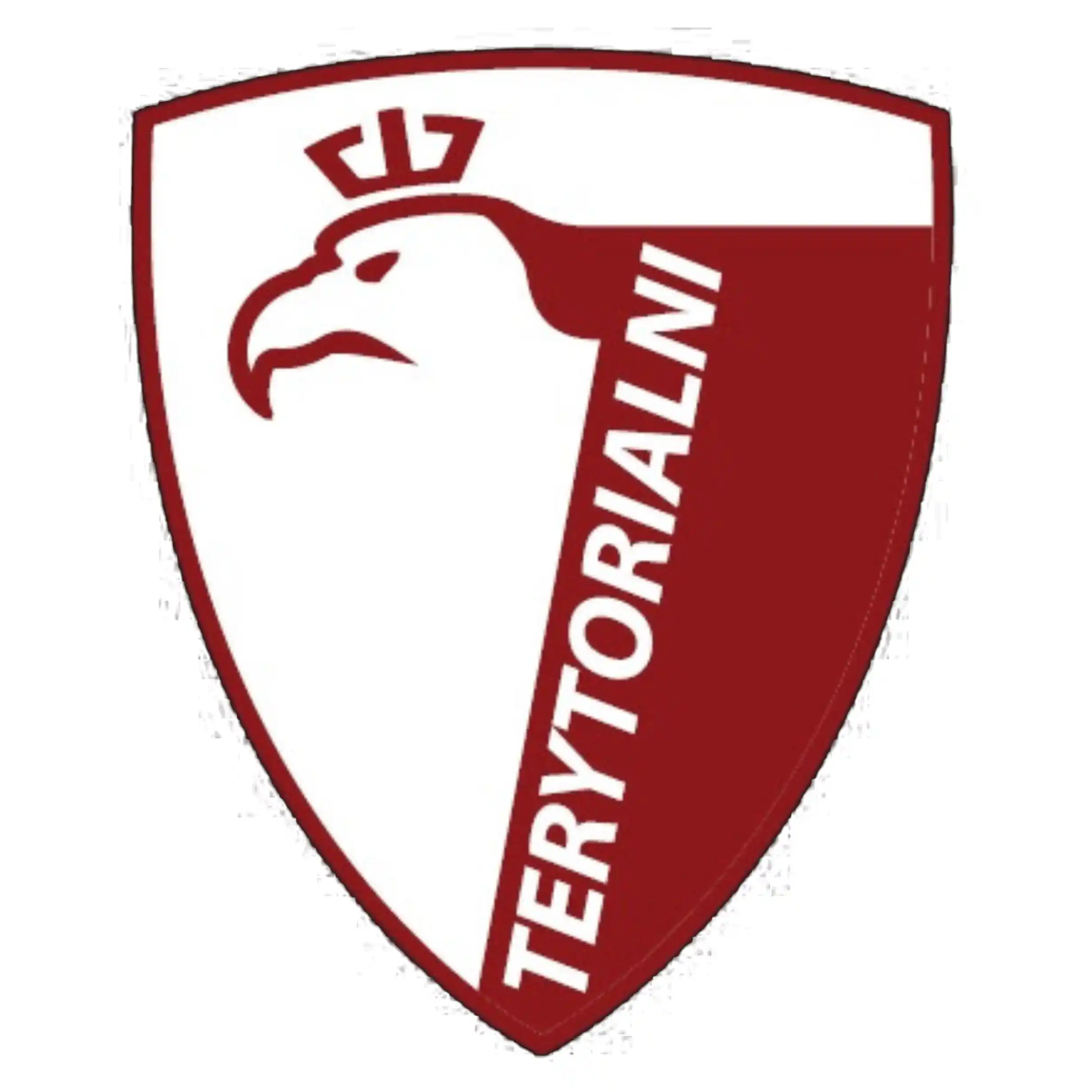 Stowarzyszenie Terytorialni Logo